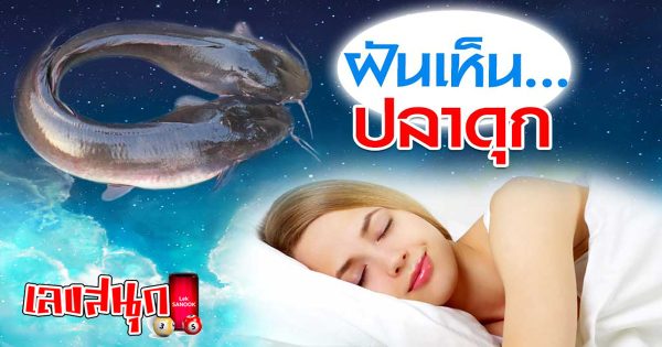 ฝันเห็นปลาดุก-''Dream of seeing a catfish''
