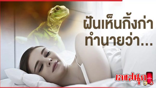 ฝันเห็นกิ้งก่า-"fun numbers beliefs"