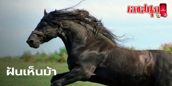 ฝันเห็นม้า -"Dream of seeing a horse"