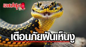 ฝันเห็นงูกัด-"Dream of seeing a snake bite"