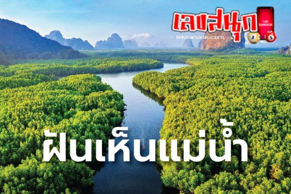 ฝันเห็นแม่น้ำโขง ไหล แรง มาก-"Dreamed of seeing the Mekong River flowing very strongly."