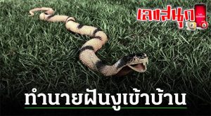 ฝันว่างูเข้าบ้าน-"Dreamed that a snake entered the house"