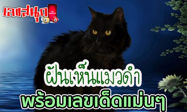 ฝันเห็นแมว เลขเด็ด -"Dreaming of seeing a cat, lucky numbers"