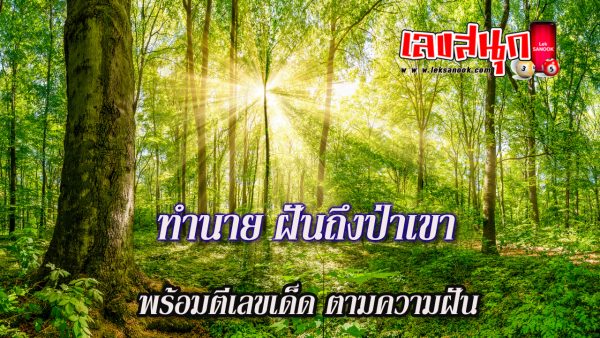 ฝันถึงป่าเขา-"Dreaming of a mountain forest"