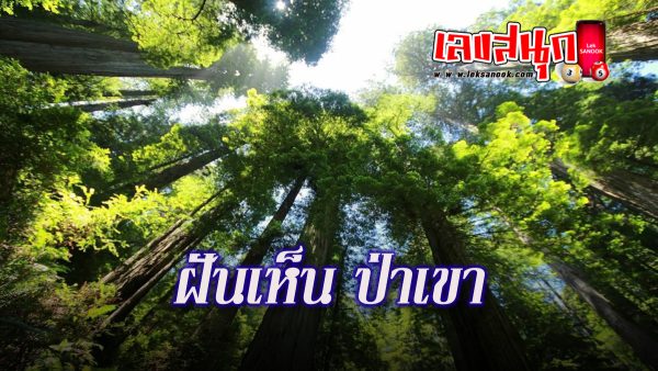 ฝันถึงป่าเขา-"fun numbers beliefs"