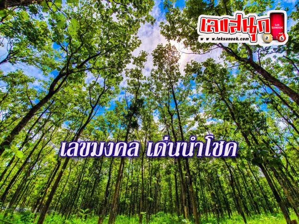 ฝันว่าเดินป่าขึ้นเขา-"Dreaming of hiking up the mountain"
