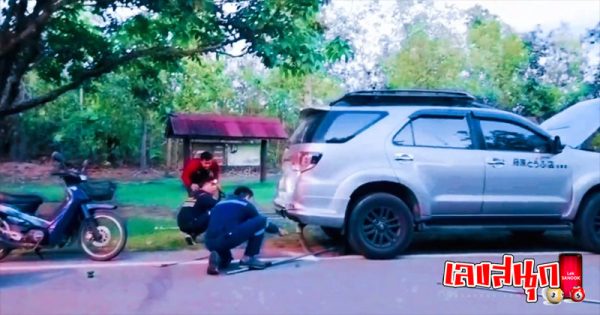 งูจงอางบุกรถ-''King cobra invades car''