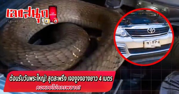 งูจงอางบุกรถ-''King cobra invades car''