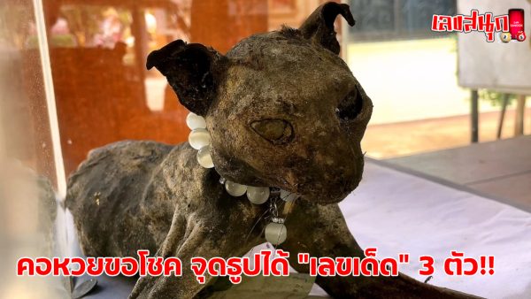 ซากสัตว์ร่างไม่เน่า-"Animal carcasses that do not decay"