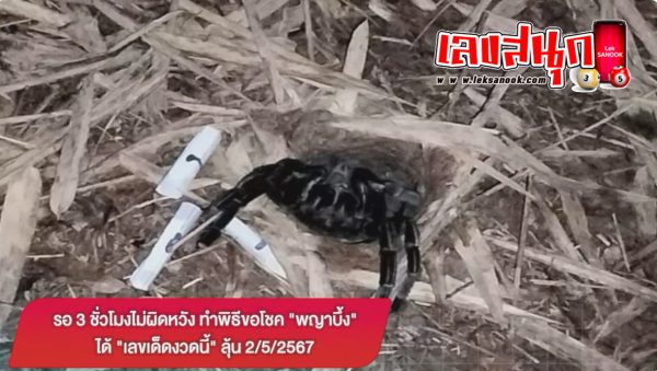 ทำพิธีขอโชคพญาบึ้ง-"famous people's fun numbers"