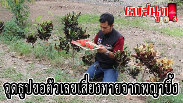 เลขพญาบึ้งงวดล่าสุด -"Latest Phaya Buu numbers"