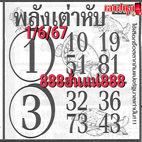 เลขพลังเต่าหับ 1 6 67-"Turtle's power number"