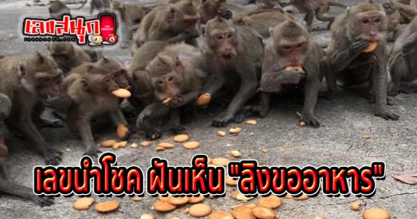 ฝันเห็นลิงตัวใหญ่สี ดํา - "Dreamed of seeing a big black monkey."