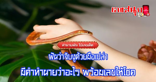 ฝันว่าจับงูด้วยมือเปล่า-"fun numbers beliefs"