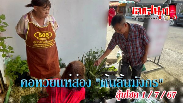 ส่องเลข ต้นลิ้นมังกร-"famous people's fun numbers "
