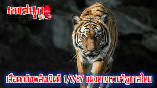 เสือตกถังพลังเงินดี 1 7 67-"famous people's fun numbers"