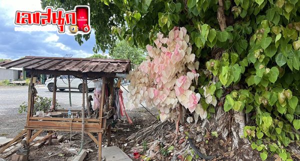เลขเด็ดไทยรัฐโค้งสุดท้าย-"Thairath lucky numbers, last curve"