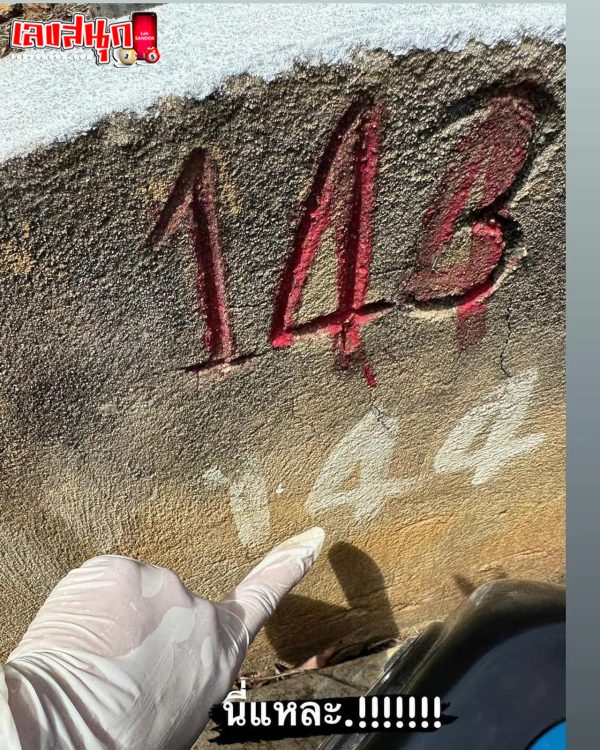 ล้างป่าช้า-"Clean up the cemetery 2024"