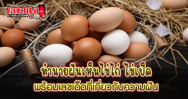 ฝันเห็นไข่ไก่ ไข่เป็ด - "fun numbers beliefs"