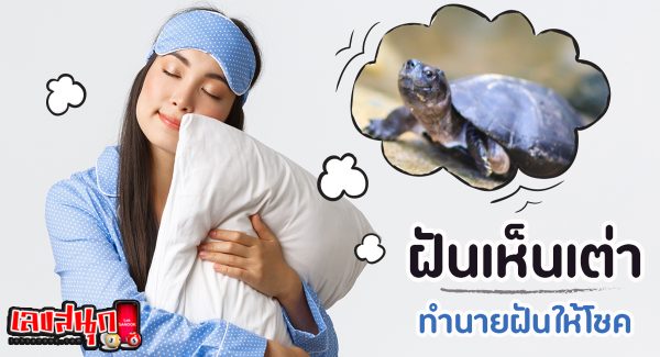 ฝันเห็นเต่าทอง-"Dream of seeing a ladybug"