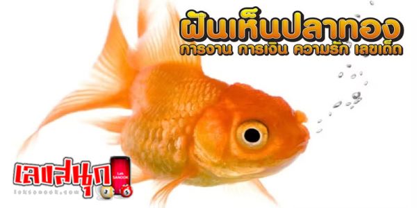 ฝันเห็นปลาทอง-"Dream of seeing lucky fish"