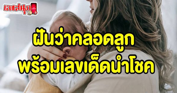 ฝันว่าคลอดลูกชายน่ารัก-"Dreamed of giving birth to a cute son"