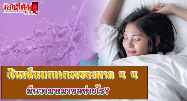 ฝันเห็นมดแดงเยอะมาก ๆ ๆ-"Dreamed of seeing a lot of red ants."