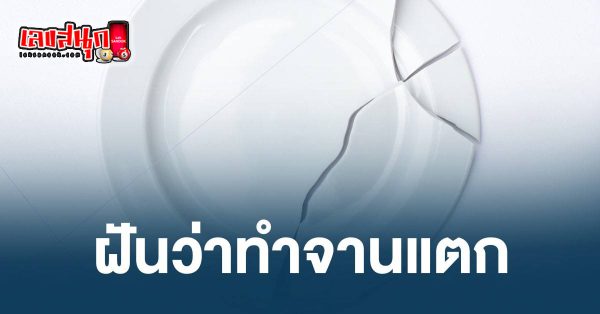 ฝันว่าจานแตก - "Dreamed that the dish. was broken"