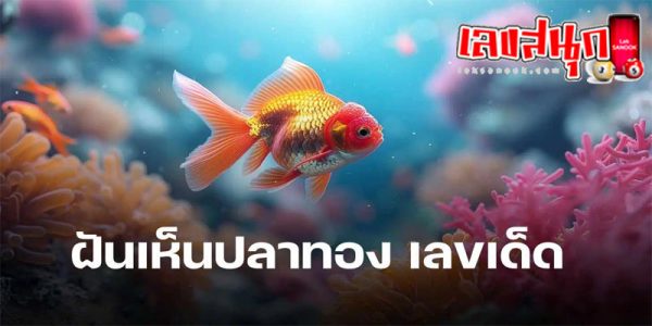 ฝันเห็นปลาทอง เลขเด็ด-"Dreaming of seeing a goldfish, lucky numbers"