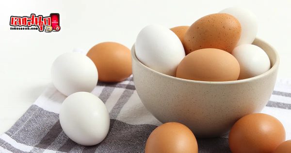 ฝันเห็นไข่เป็ดสีขาวเลขเด็ด - "Dreaming of seeing white duck eggs is a lucky number."