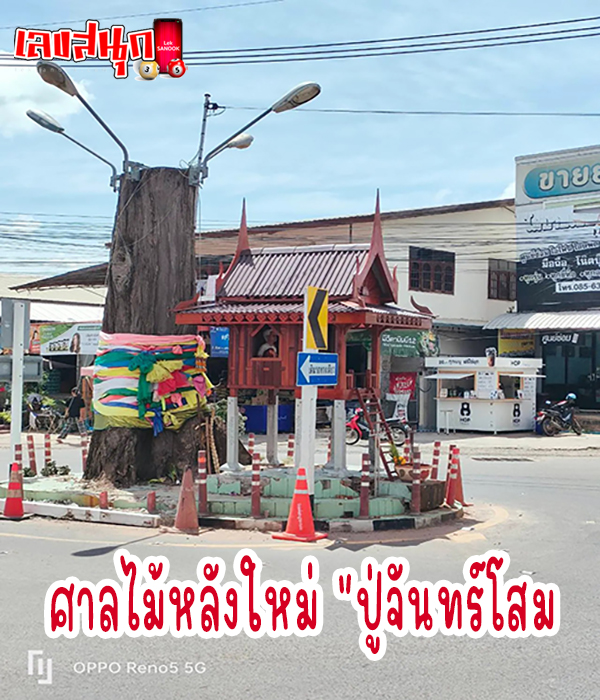 ศาลไม้หลังใหม่ "ปู่จันทร์โสม" -"New wooden court "Phu Chan Som"