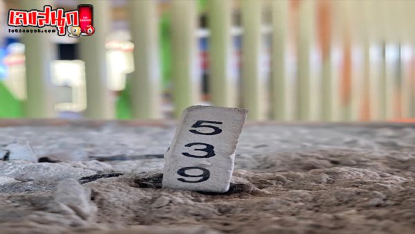 เลขเด็ดงวดนี้-"Lucky numbers for this period"