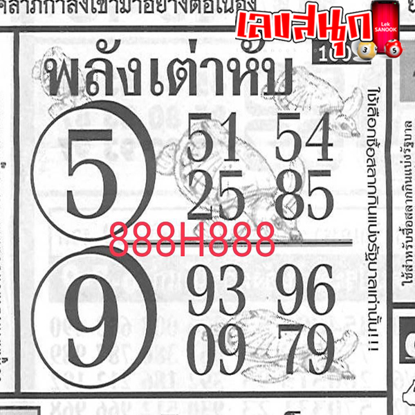 เลขพลังเต่าหับ 16 7 67 -"Turtle power number 16 7 67"