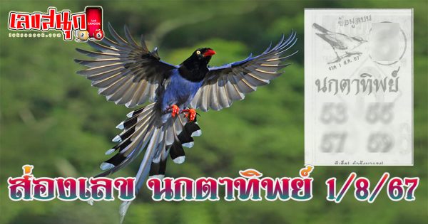 นกตาทิพย์ 1 8 67-"famous people's fun numbers"