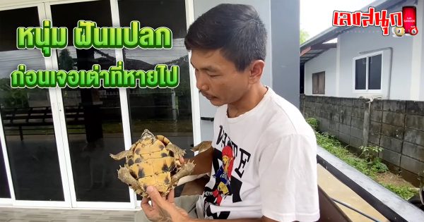 ฝันแปลก ก่อนเจอเต่าที่หายไป-"Strange dream before meeting a missing turtle."