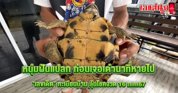 ฝันแปลก ก่อนเจอเต่าที่หายไป-"famous people's fun numbers"