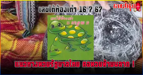 เลขใต้ท้องเต่า 16 7 67 - " The number under the turtle's belly is 16 7 67."