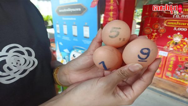 เลขเด็ดแม่นๆ-"Accurate lucky numbers"