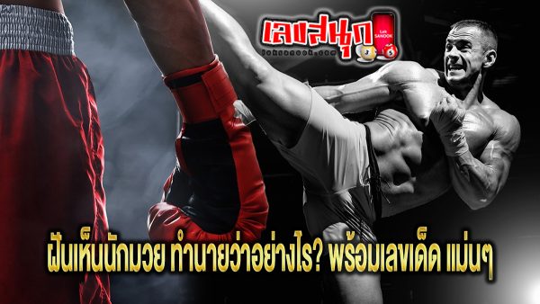 ฝันเห็นนักมวย - "fun numbers beliefs "