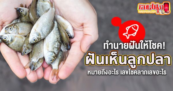 ฝันเห็นลูกปลา -"Dream of seeing baby fish"