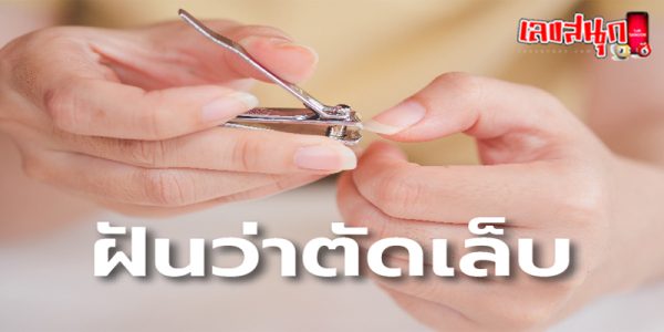 ฝันว่าตัดเล็บ-"Dreaming about cutting your nails"