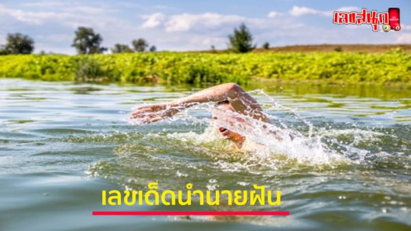 ฝันเห็นคนว่ายน้ำ เลขเด็ด-"Dreaming about seeing people swimming, lucky numbers"