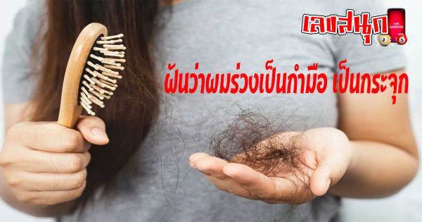ฝันว่าผมร่วงติดมือเป็นกระจุก-"Dreaming that your hair is falling out in clumps."