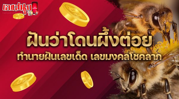 โดนผึ้งต่อย ตีเลข-"Stung by a bee, hit a number"