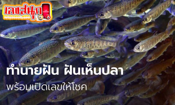 ฝันเห็นลูกปลา -"Dream of seeing baby fish"