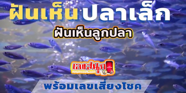 ฝันเห็นปลาตัวเล็กเลขอะไร -"What number did you dream of seeing a small fish?"