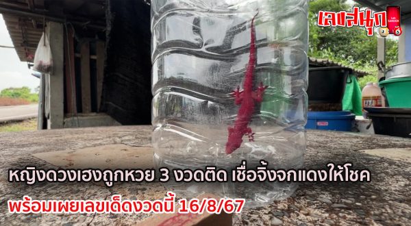 จิ้งจกแดง-"red lizard"