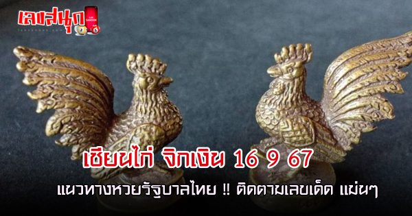 เซียนไก่ จิกเงิน 16 9 67 - "Chicken master pecks money 16 9 67"