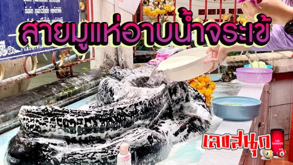 อาบน้ำจระเข้ -"Crocodile bath"