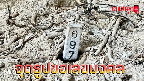 วิธีอาบน้ำจระเข้ วัด ลำ บัวลอย -"How to bathe a crocodile at Wat Lam Bua Loi"